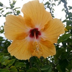 Meet your Posher, Vivian